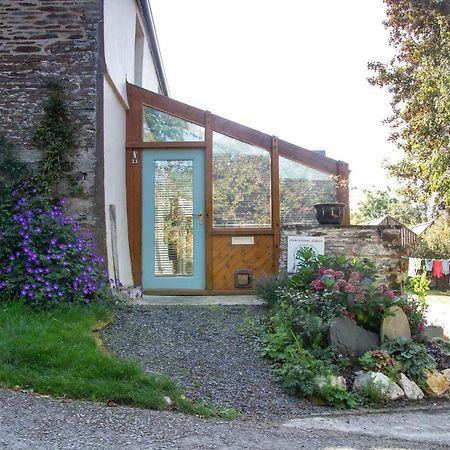 Bed and Breakfast Penybanc Farm Llandysul Exterior foto