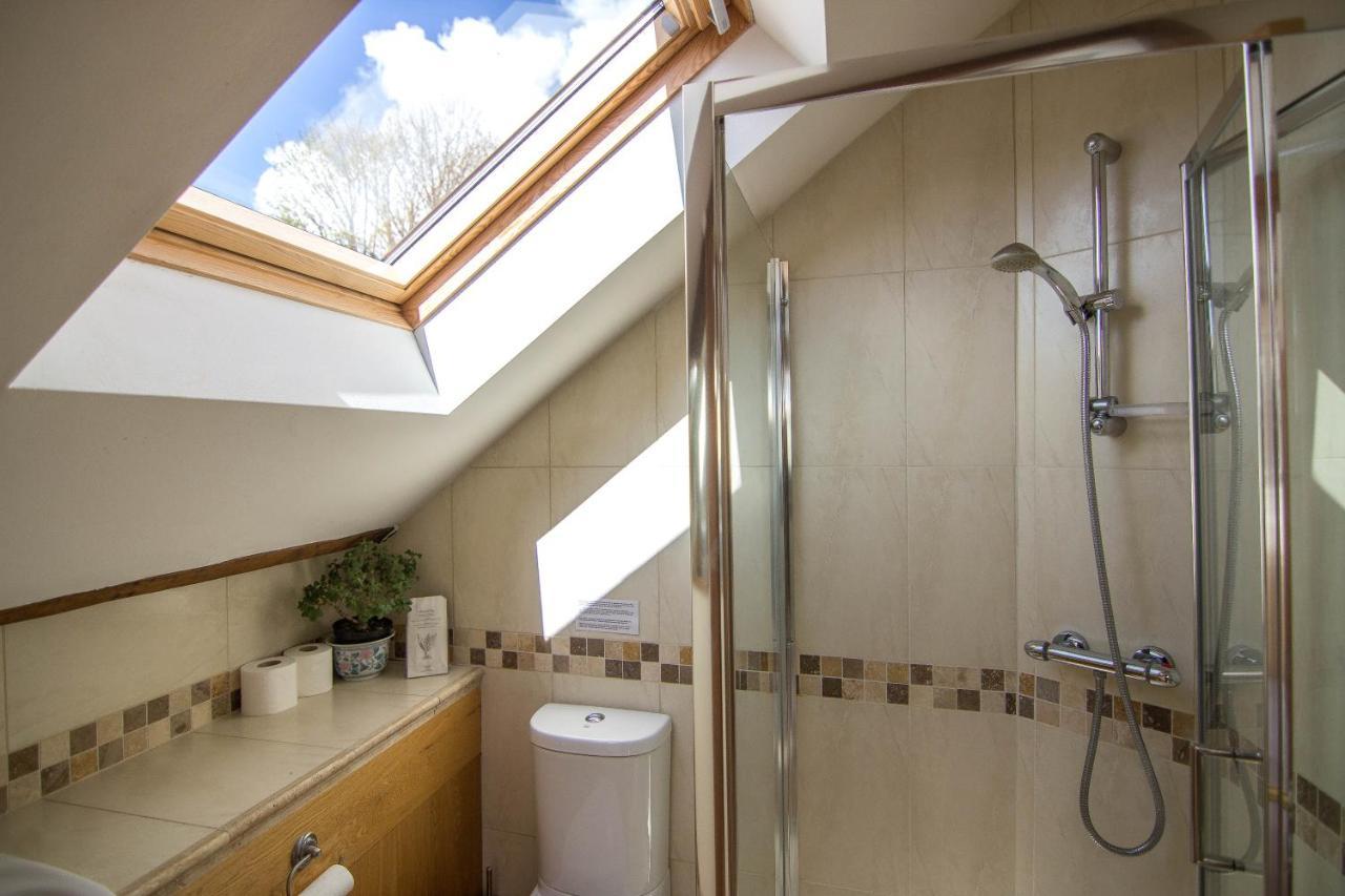 Bed and Breakfast Penybanc Farm Llandysul Exterior foto